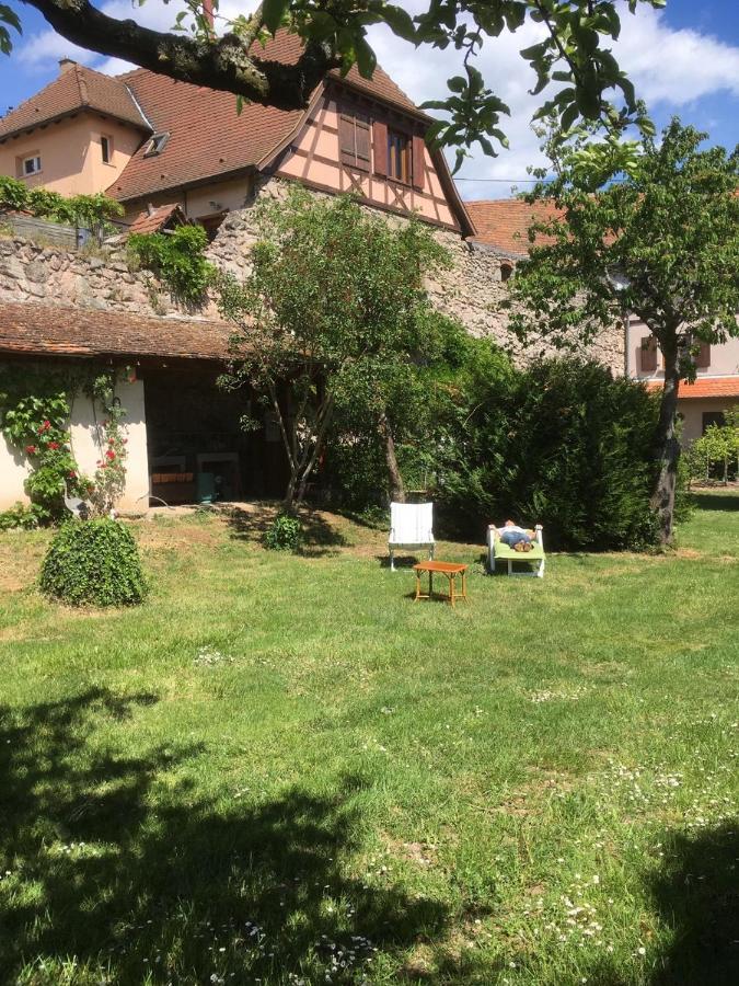Beck Domaine Du Rempart Villa Dambach-la-Ville Luaran gambar