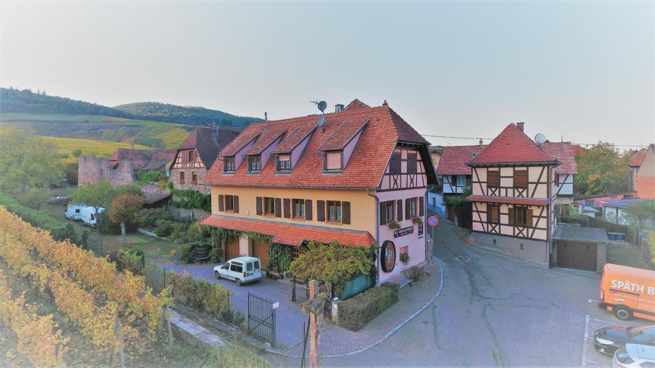 Beck Domaine Du Rempart Villa Dambach-la-Ville Luaran gambar