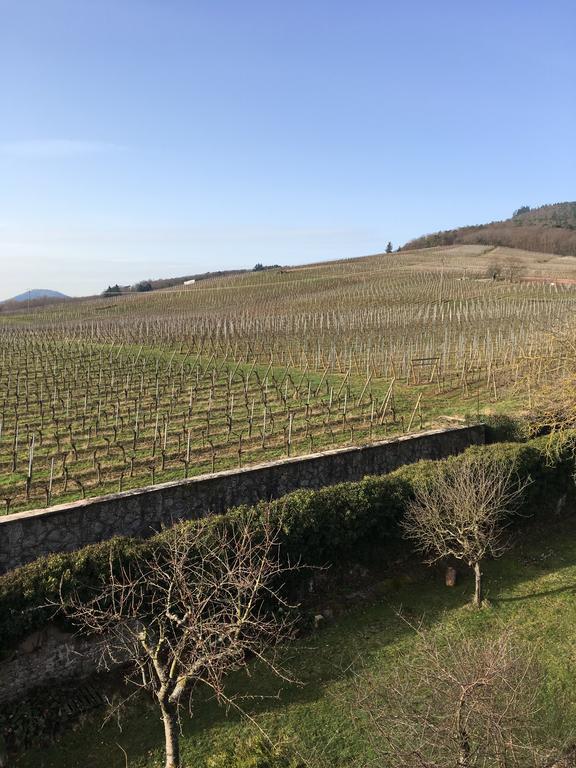 Beck Domaine Du Rempart Villa Dambach-la-Ville Luaran gambar