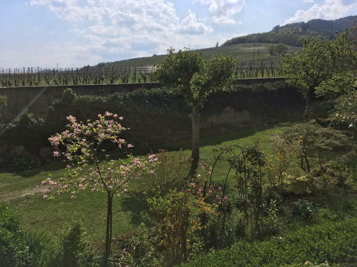 Beck Domaine Du Rempart Villa Dambach-la-Ville Luaran gambar